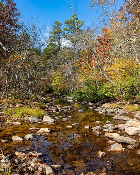 Early Autumn view of Pickle Creek as it flows through Hawn State Park in Saint Genevieve, Missouri