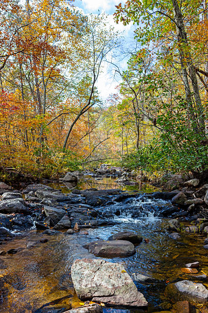 istock Fall landscape of stream flowing through trees with colorful foliage 2247906669