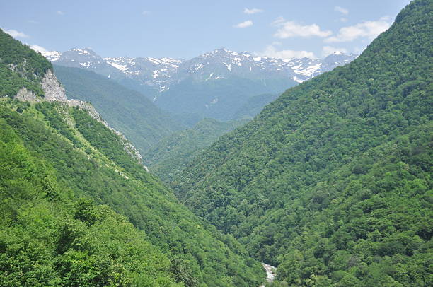 istock Breathtaking mountain valley view with lush greenery and snow-capped peaks under a clear blue sky 2247909880