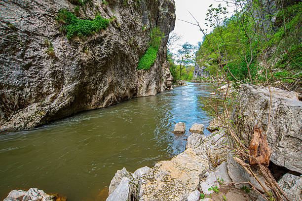 The Jerma River flows through a narrow rocky canyon, with steep cliff walls covered in greenery, scattered stones along the riverbank, tree branches leaning over the water, and calm rippling currents.