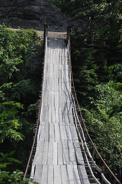 istock Wooden suspension bridge surrounded by lush greenery in a serene forest setting 2247910187