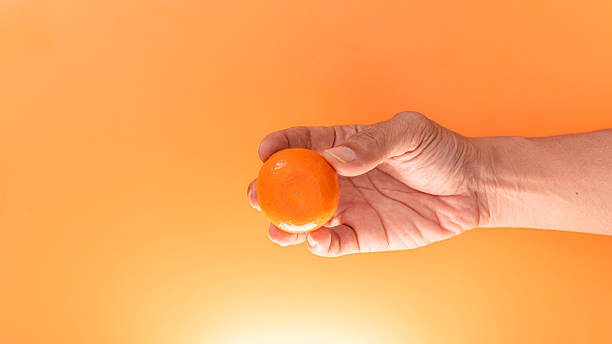 Hand Holding a orange fruit, presenting a small, bright sweet orange fruit against a solid matching backdrop.