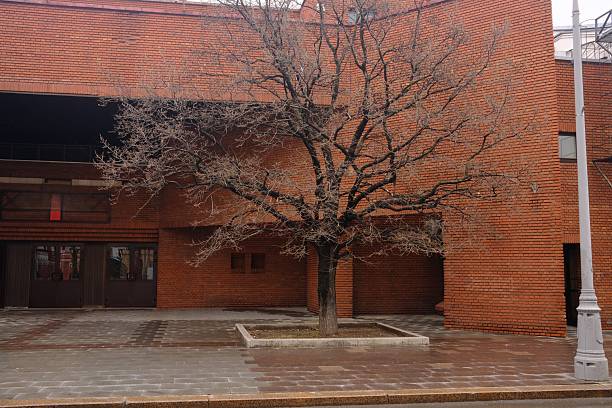 View of a tree in front of a red brick house, tree without leaves, end of autumn, beginning of winter season, Moscow Taganskaya district