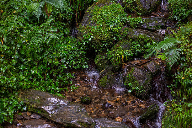 Small waterfall in an area of woodland in rural Scotland