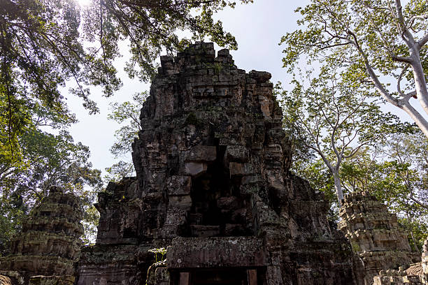 Apsara's stone carving at Ta Prohm temple in Angkor, Cambodia, the largest religious monument in the world by land area.
