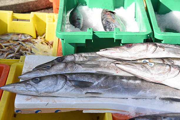 istock The fish market in Jaffa Port 2247916709