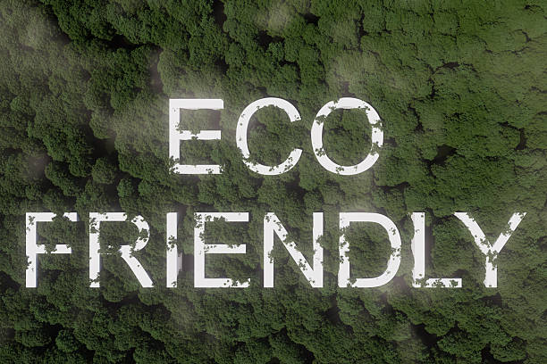 istock Eco friendly message displayed above a lush forest landscape showcasing nature's beauty and commitment to sustainability 2247917000