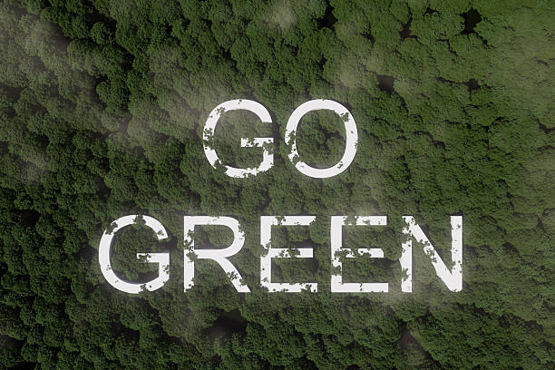 istock Environmental message encourages conservation in lush forest scene highlighting nature's beauty and importance of sustainability 2247917004