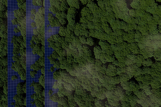 Low polygonal virtual world landscape, metaverse. River in the mountains at sunset, soft ambient lighting.