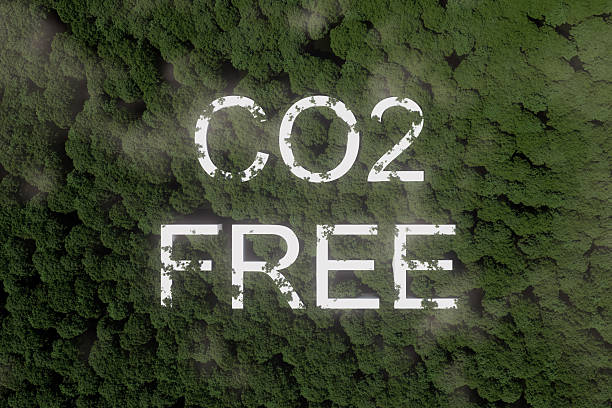istock Forests displaying a strong message about environmental protection and carbon neutrality in a lush green landscape 2247917012
