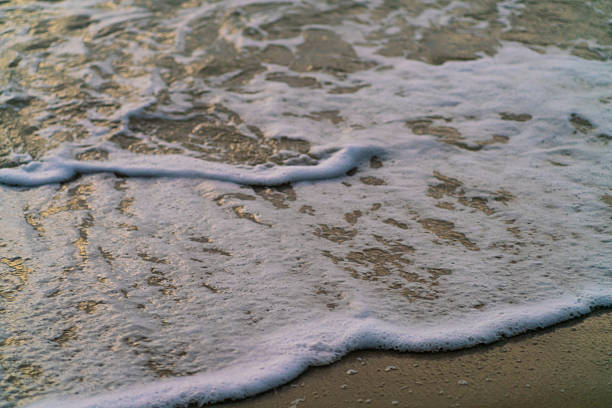 Beach and water at sunset