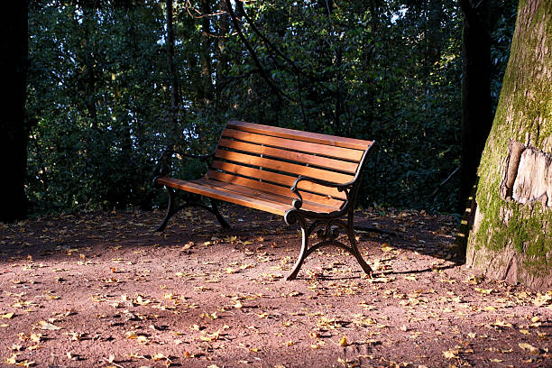 A quiet park bench invites relaxation amidst lush green and vibrant nature.