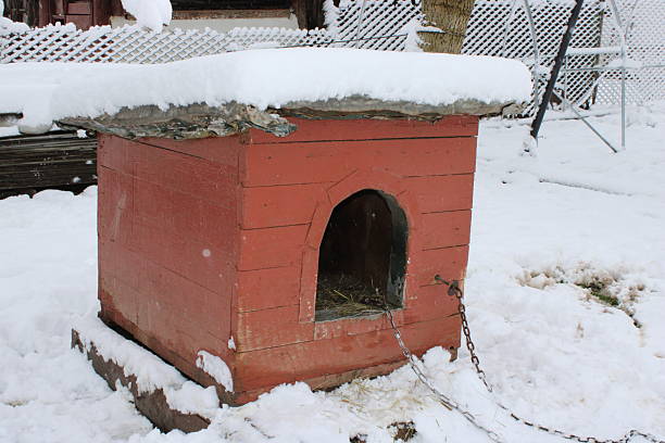 A doghouse stands in a snowy yard with a layer of snow on its roof. The structure is built from wood and has a chain attached, indicating a pet may reside here.