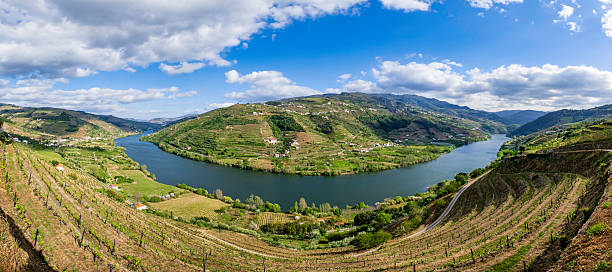istock Douro wine region - Portugal 2247922030