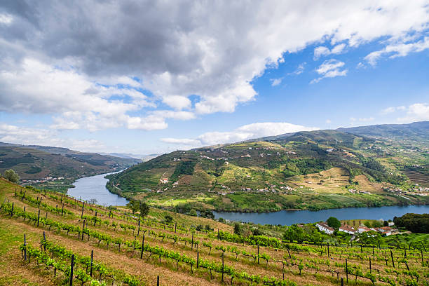 istock Douro wine region - Portugal 2247922061