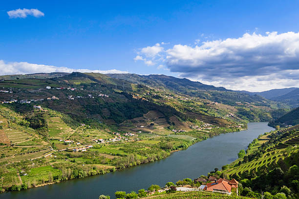 istock Douro wine region - Portugal 2247923010