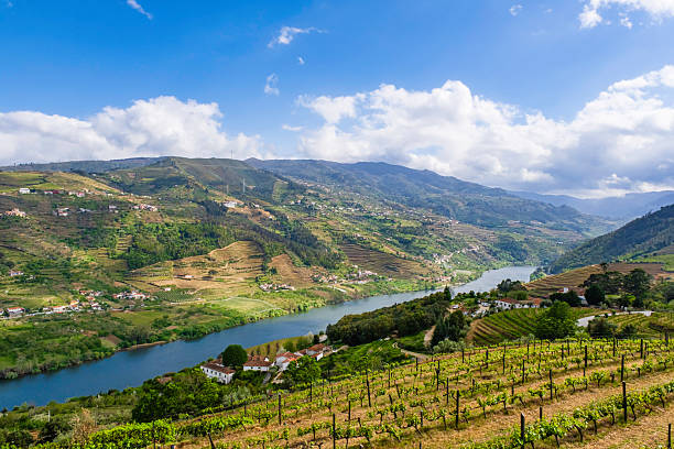 istock Douro wine region - Portugal 2247923258