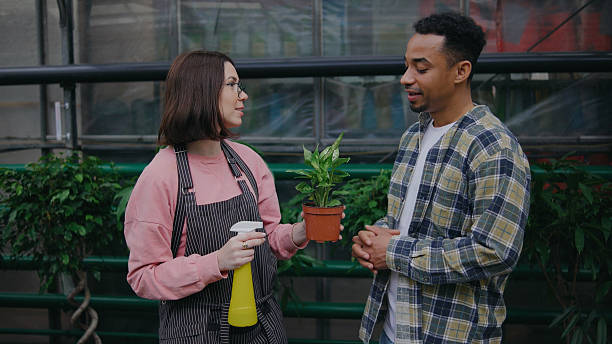 istock Two people engage in a gardening conversation inside a greenhouse while holding a plant and a spray bottle 2247923305