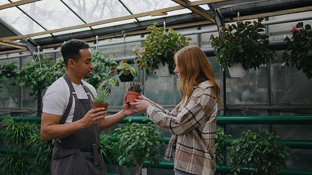 istock Customer selects potted plants with help from store employee in a greenhouse during a sunny afternoon 2247924076