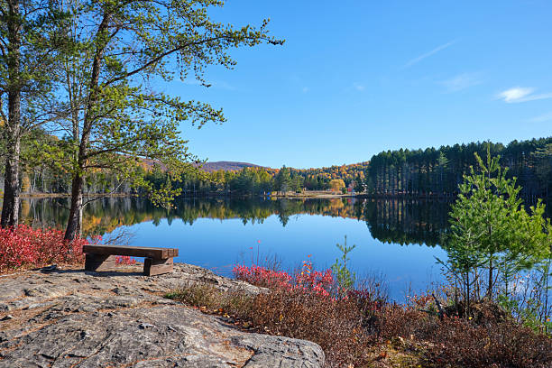istock Wooden bench overlooks small Quebec lake 2247924727