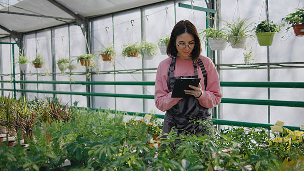 istock Gardener checking plant care notes in a greenhouse filled with diverse greenery during a bright daytime 2247924891
