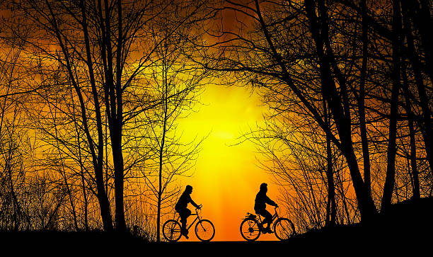 Senior cyclists in the park at sunset
