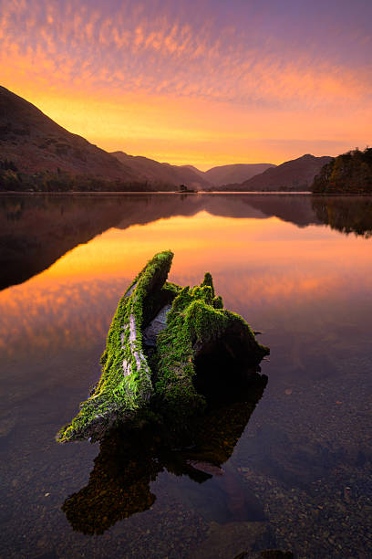 istock Beautiful Lake District Sunrise at Ullswater With Mossy Tree Stump. 2247930969
