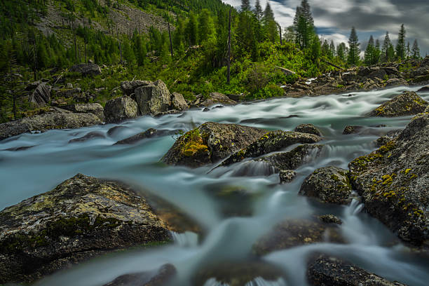A long-exposure landscape captures swirling turquoise water of the Multinskiye Shumy rapids, with mossy boulders in the foreground and lush green pine forest in the Altai Mountains, Russia. This vibrant, natural composition is perfect for designs about adventure travel, ecotourism, wilderness, and the environment, with copy space for text or branding.