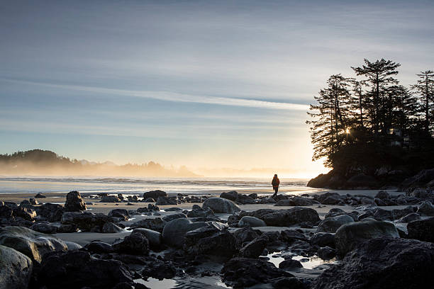 Distant view of man walking on beach at sunset, Chesterman Beach, Tofino, Vancouver Island, B.C.