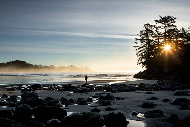 istock Distant view of man walking on beach at sunset, Tofino 2247934703