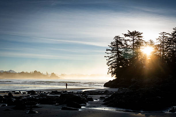 Distant view of man walking on beach at sunset, Chesterman Beach, Tofino, Vancouver Island, B.C.