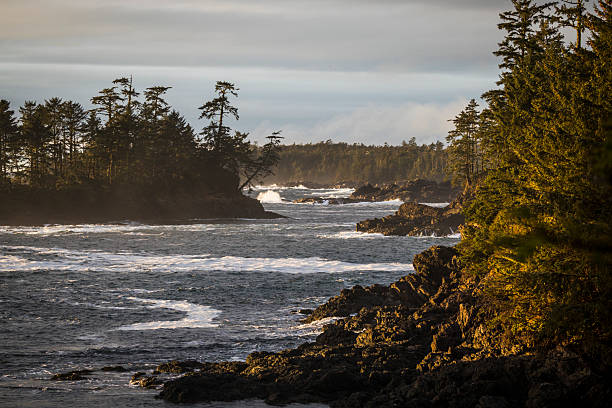 istock Waves crash on rocky coastline at sunset, Tofino 2247934864