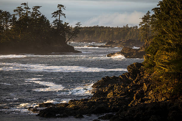 istock Waves crash on rocky coastline at sunset, Tofino 2247934868