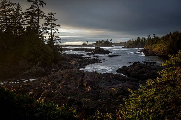 istock Waves crash on rocky coastline at sunset, Tofino 2247934910