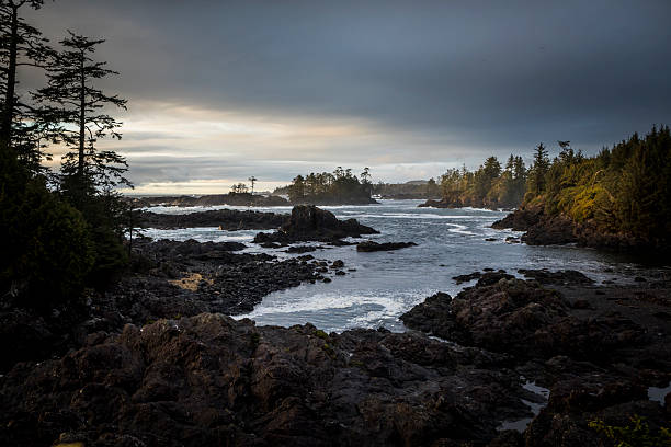 istock Waves crash on rocky coastline at sunset, Tofino 2247934924
