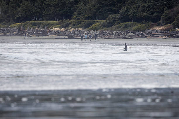 Distant view of surfer on breaking wave, Chesterman Beach, Tofino, Vancouver Island, B.C.