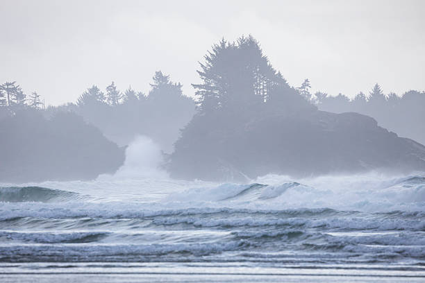 istock Beach, surf and forested hills at sunset, Tofino 2247934986