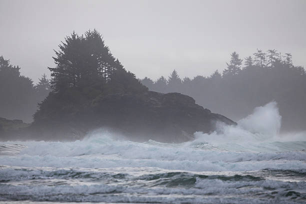 istock Beach, surf and forested hills at sunset, Tofino 2247934987