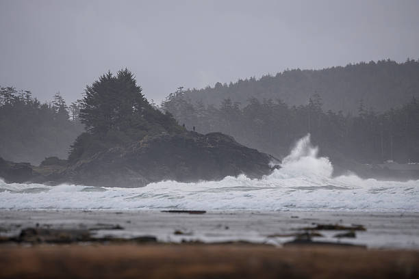 istock Beach, surf and forested hills at sunset, Tofino 2247934989