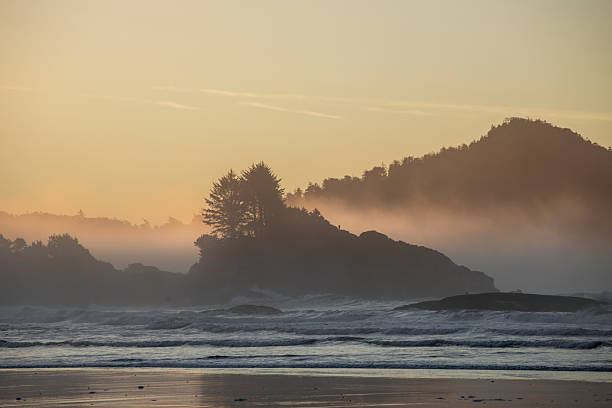 Beach, surf and forested hills at sunset, Tofino