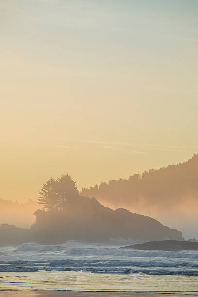 istock Beach, surf and forested hills at sunset, Tofino 2247935018