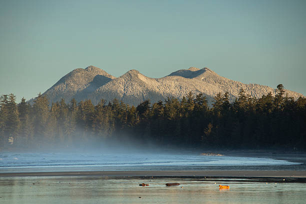 Beach, surf and forested hills at sunset, Chesterman Beach, Pacific Rim National Park, Tofino, Vancouver Island, B.C.