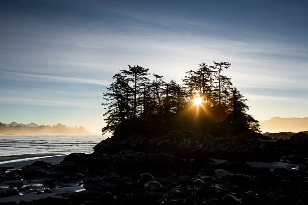istock Beach, surf and forested hills at sunset, Tofino 2247935066