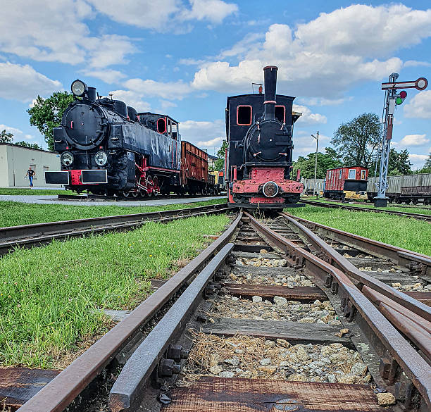 Sochaczew, mazowieckie/Poland - 07.05.2020. Old steam engine locomotives on narrow gauge tracks in the open air museum