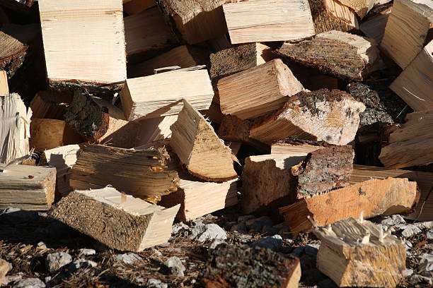 istock Close-up chopped woods photography. 2247937505