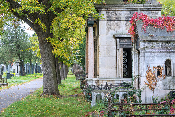 istock Beautiful aged gravestones at the Central cemetery in Vienna 2247937765