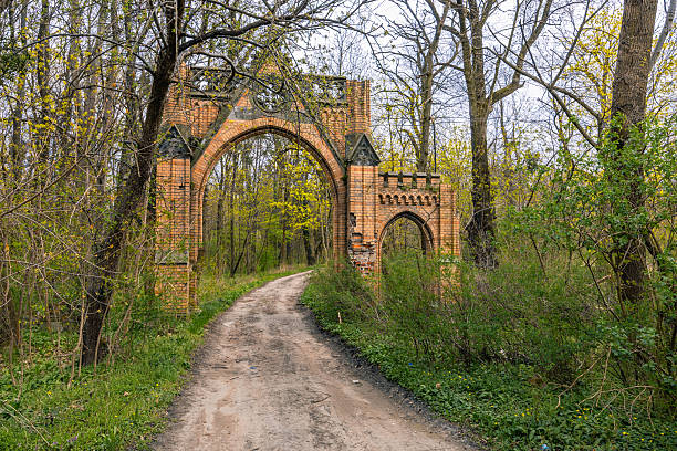 istock Abandoned Gothic Archway in a Forest Road 2247939367
