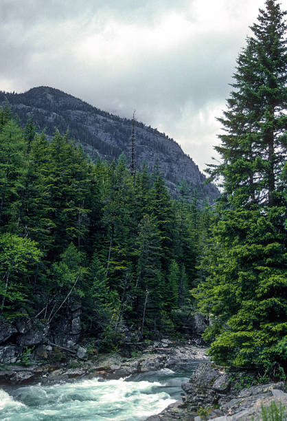 istock Glacier NP - Mountain Stream on Going-to-the-Sun-Road Vertical - 1989 2247944145
