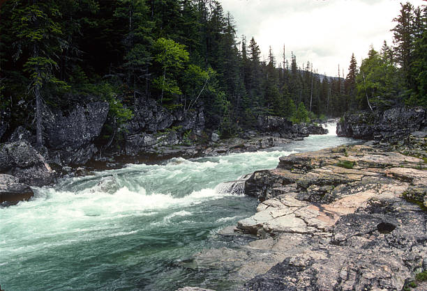Glacier National Park - Mountain stream filled with spring run-off on Going-to-the-Sun-Road - 1989. Scanned from Kodachrome 64 slide.