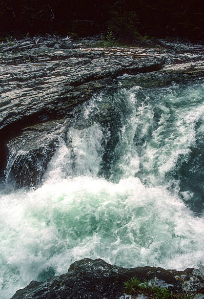 istock Glacier NP - Mountain Stream Rushing Water - Going-to-the-Sun-Road - 1989 2247944192
